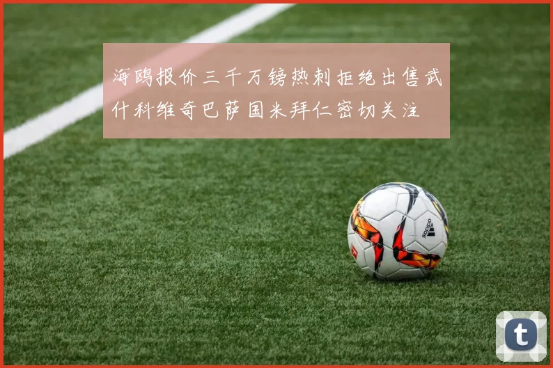 海鸥报价三千万镑热刺拒绝出售武什科维奇巴萨国米拜仁密切关注