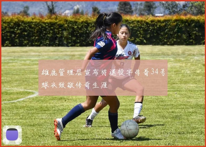雄鹿管理层宣布将退役字母哥34号球衣致敬传奇生涯