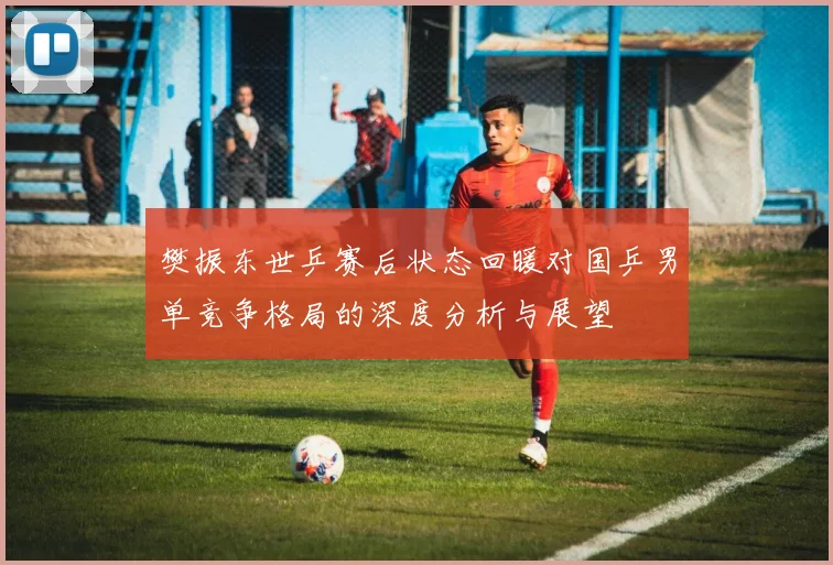 樊振东世乒赛后状态回暖对国乒男单竞争格局的深度分析与展望